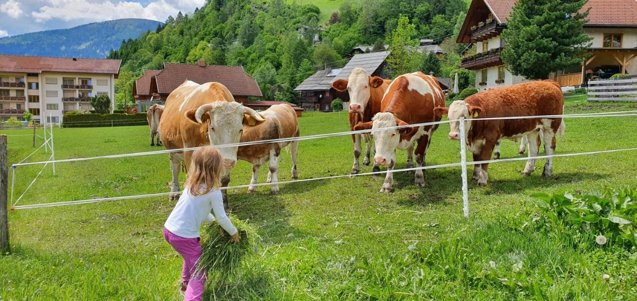 Ferienhaus Michael Bad Kleinkirchheim Luaran gambar